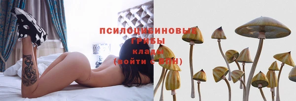 спайс Алексин