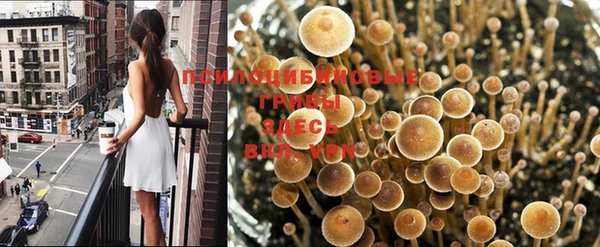 mdpv Зеленодольск