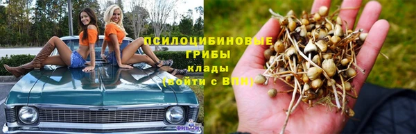 спайс Алексин