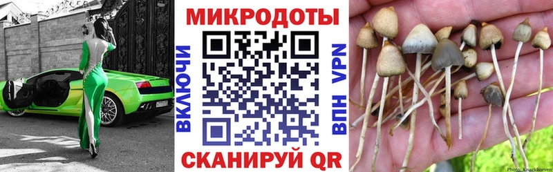 Галлюциногенные грибы GOLDEN TEACHER  KRAKEN ТОР  Краснообск 